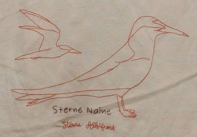 Sterne Naine